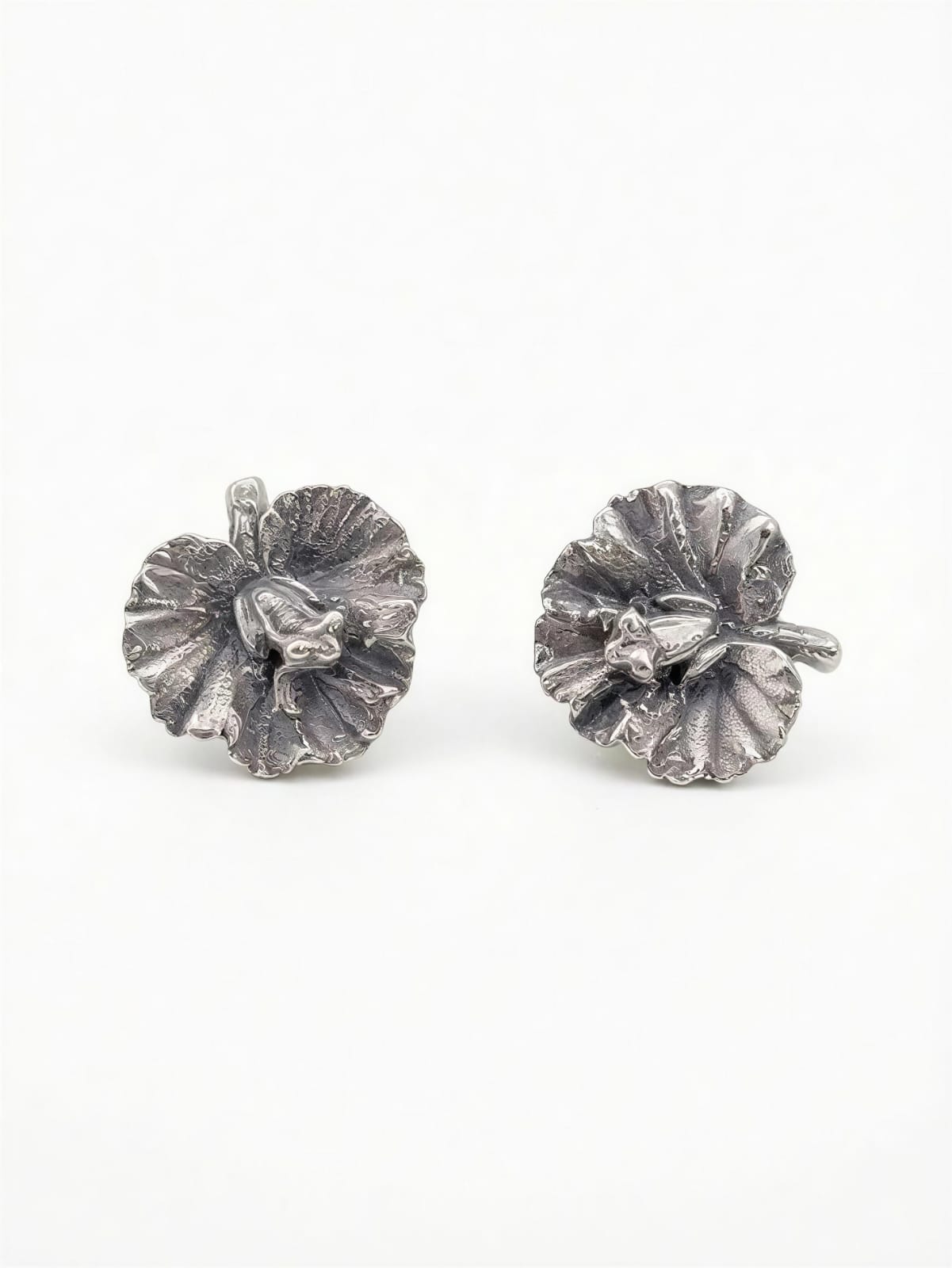Aretes Bosque Tropical
